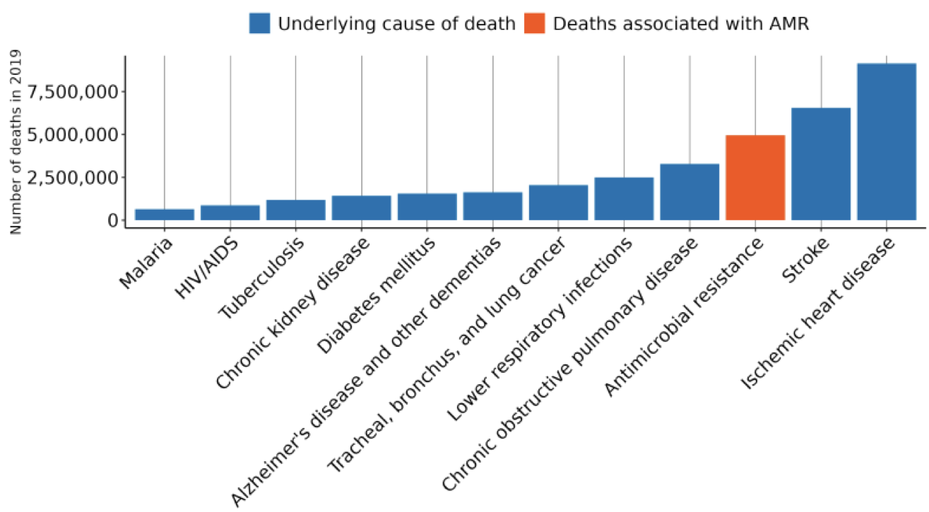 Deaths from AMR